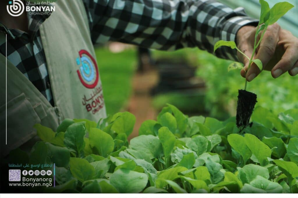 Investissement dans des terres agricoles et comment le convertir en Sadaqah Jariyah